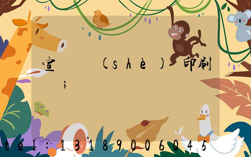 宣傳冊設(shè)計印刷報價
