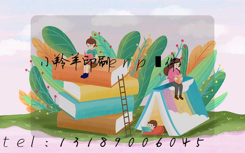 小羚羊印刷erp軟件