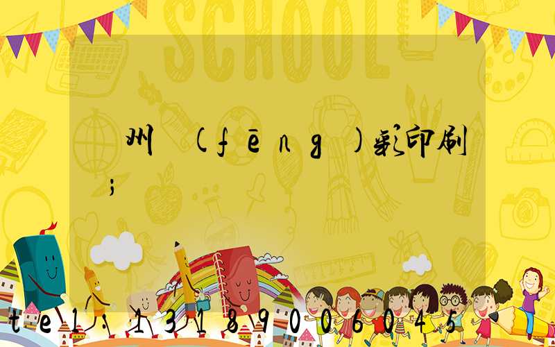 廣州風(fēng)彩印刷廠