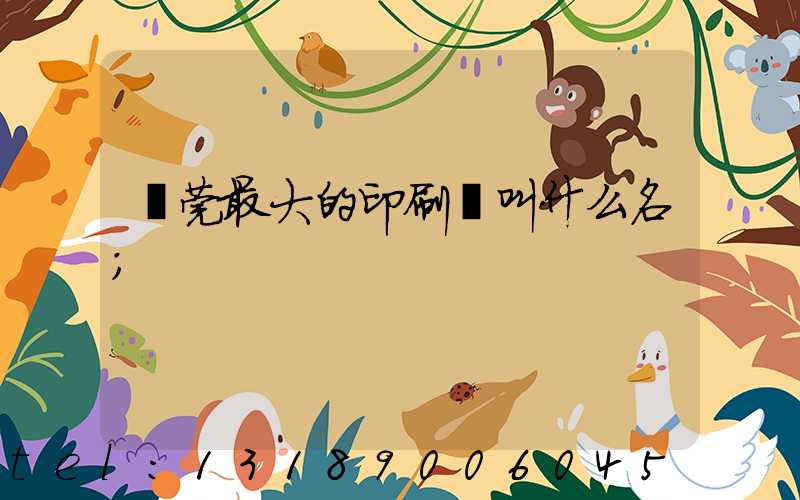東莞最大的印刷廠叫什么名