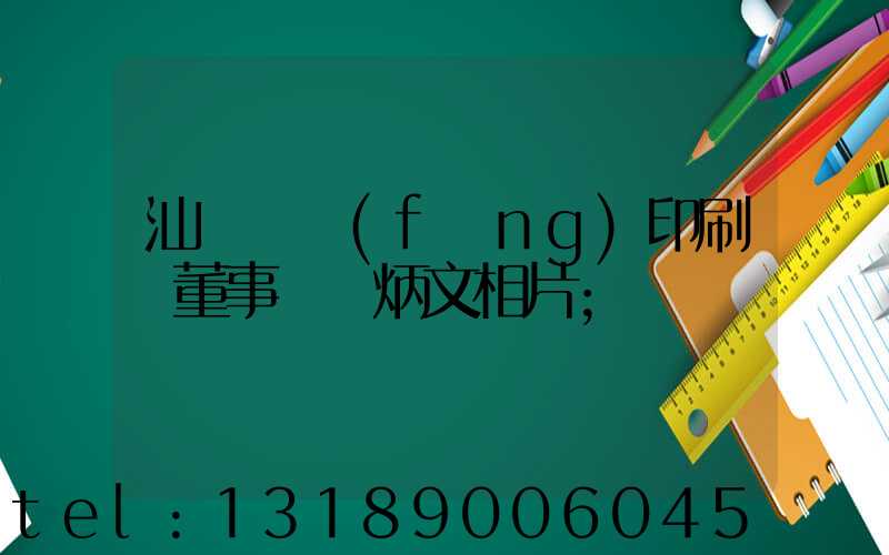 汕頭東風(fēng)印刷廠董事長黃炳文相片