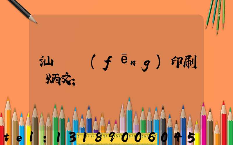 汕頭東風(fēng)印刷黃炳文